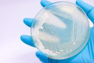 Test de microbiota intestinal